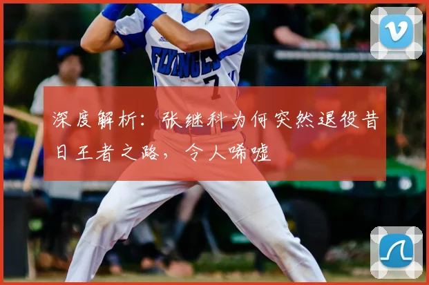 深度解析：张继科为何突然退役昔日王者之路，令人唏嘘