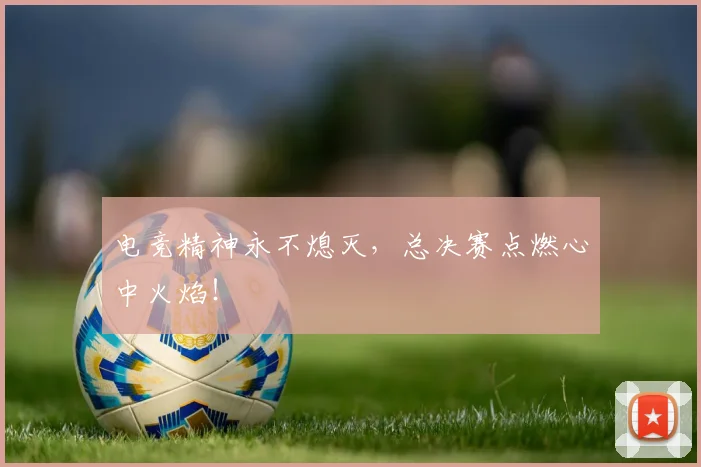 电竞精神永不熄灭，总决赛点燃心中火焰！