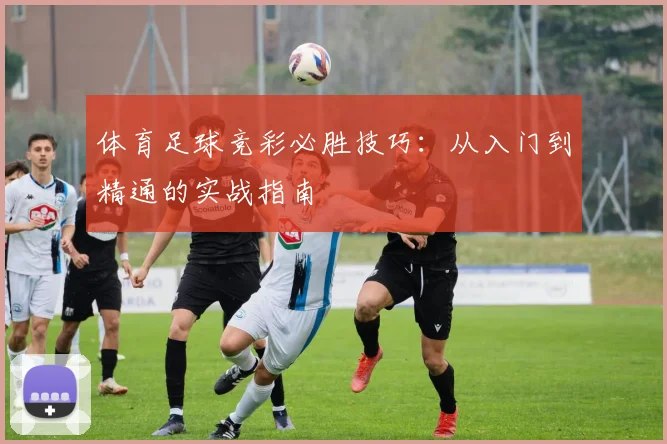体育足球竞彩必胜技巧：从入门到精通的实战指南