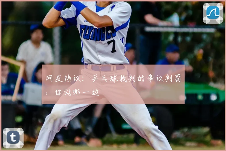 网友热议：乒乓球裁判的争议判罚，你站哪一边