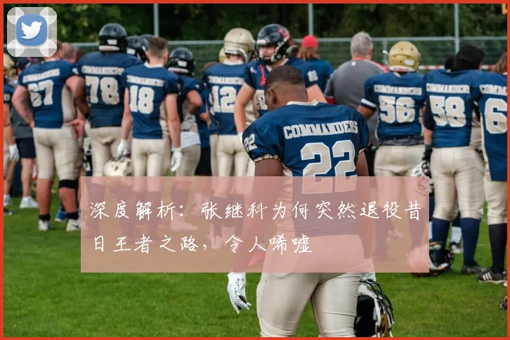 深度解析：张继科为何突然退役昔日王者之路，令人唏嘘