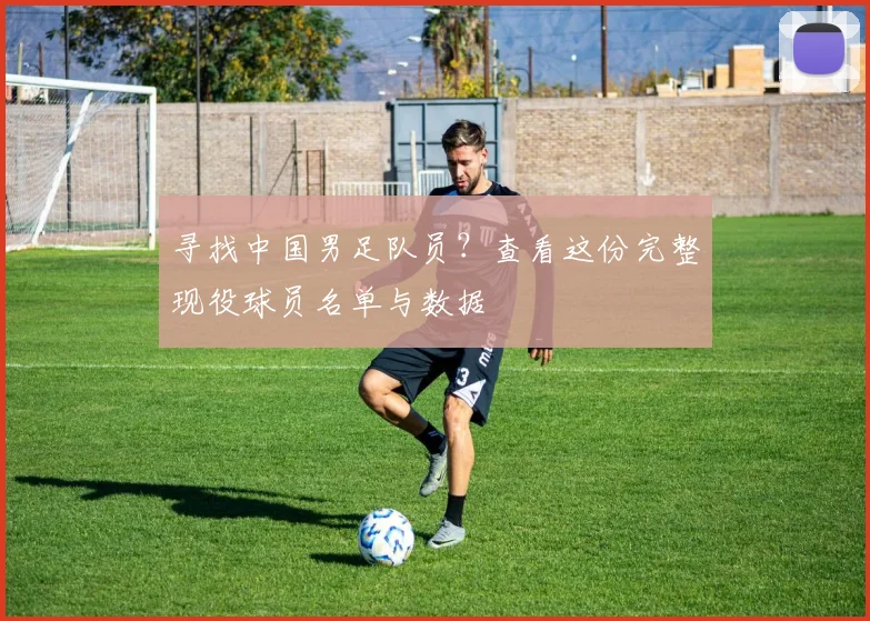 寻找中国男足队员?查看这份完整现役球员名单与数据